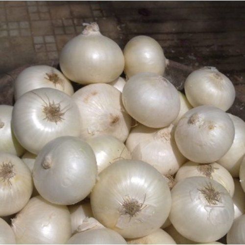 Round & Oval Fssai Certified Healthy And Natural Fresh Organic Small White Onion