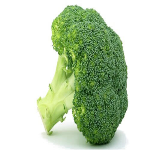 Healthy and Natural Taste Green Fresh Broccoli