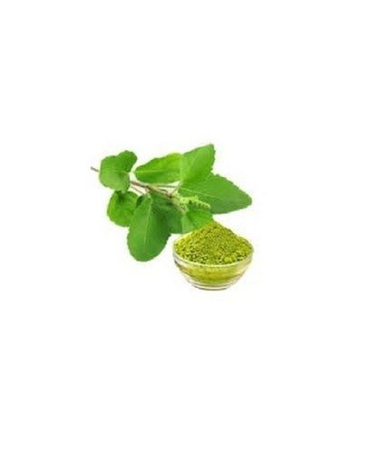 Herbal Medicinal Green Holy Basil Tulsi Leaf Powder