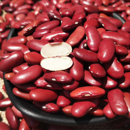 High Nutrition Organic Red Kidney Beans