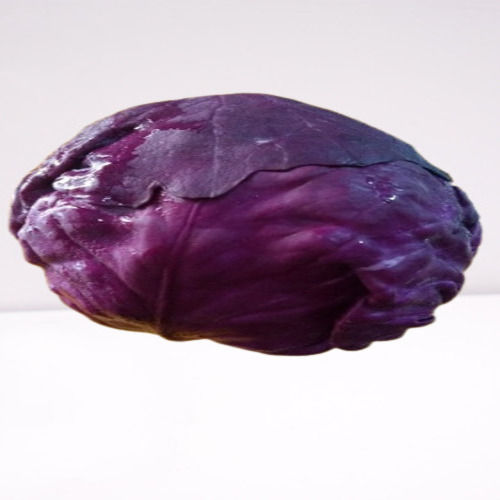 Round & Oval Magnesium 3% Potassium 243 Mg Pesticide Free Fresh Red Cabbage