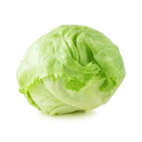 Natural Taste and Healthy Fresh Green Iceberg Lettuce
