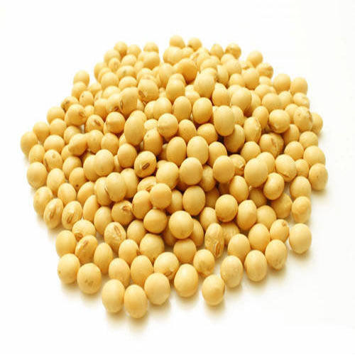 Purity 100% Protein Min 36% Moisture Max 11% Organic Soybean Seeds