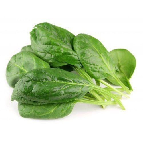 Good Taste Natural and Healthy Organic Green Fresh Malabar Spinach