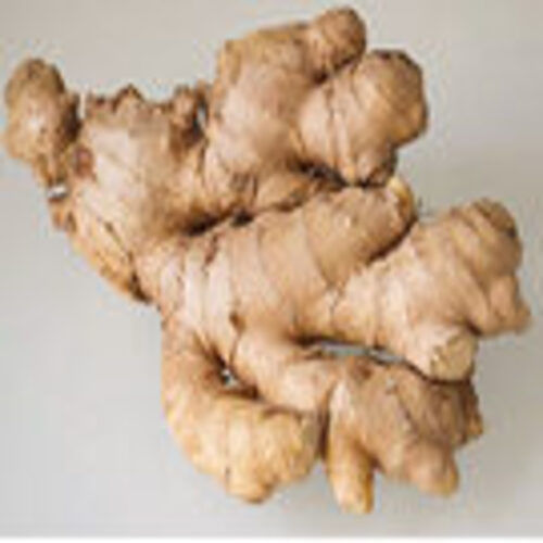 Natural and Healthy Organic Brown Fresh Ginger with Pack Size 50kg