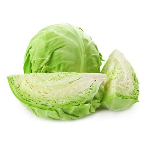 Natural and Healthy Organic Green Fresh Cabbage Packed in Plastic Packet