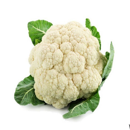 Natural Healthy Organic Fresh Cauliflower Packed in Plastic Packet