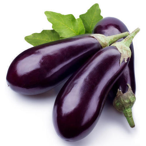 Natural Taste and Healthy Organic Fresh Purple Brinjal