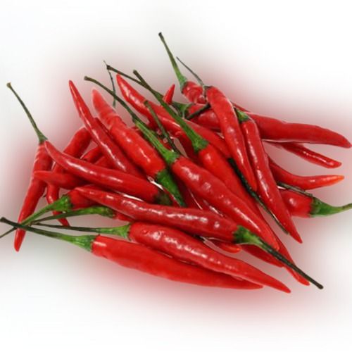 Naturally Cultivated Premium Quality Long Shining Red Chilli Flakes With Stem 