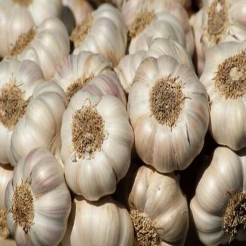 Organic Healthy White Fresh Garlic with Pack Size 50 Kg