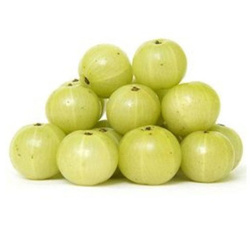 Sour Taste Natural and Healthy Fresh Green Gooseberry