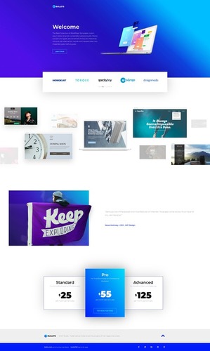 Static Designing Services - Tailored Solutions For Enhanced Profitability, Promoting Reputation And Brand Visibility