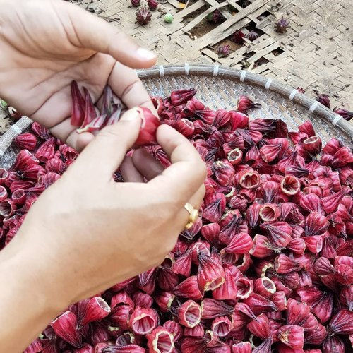 Dried Hibiscus Flower