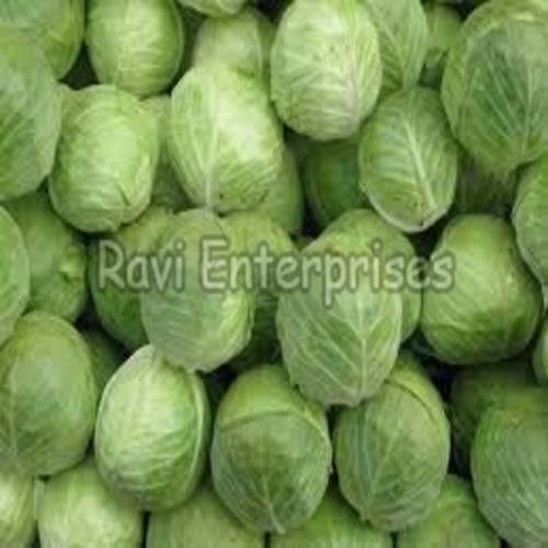 Eco-Friendly Free From Discoloration After Cooking Healthy Organic Green Fresh Cabbage