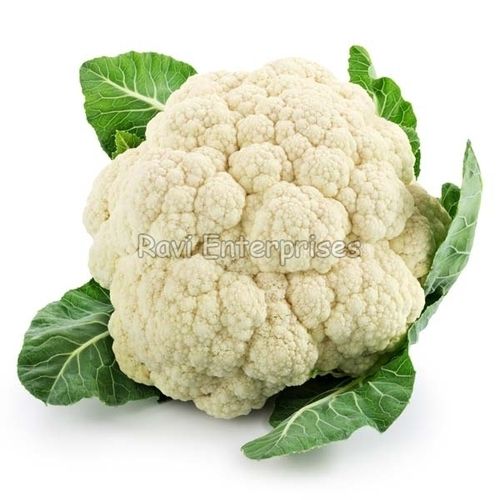 Free From Discoloration After Cooking Floury Texture Organic Fresh Cauliflower