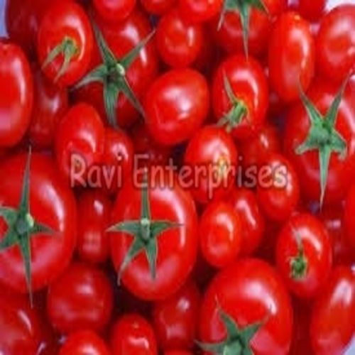 Round & Oval Good For Skin Natural And Healthy Organic Red Fresh Tomato