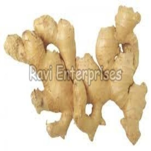 Hygienically Packed No Artificial Flavour Light Yellow Organic Fresh Ginger