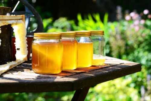 100% Natural and Pure Litchi Honey (250gm, 500 gm, 1 Kg, 30 Kg, 40 Kg, 50 Kg Pack)