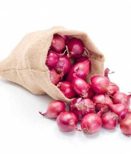 https://tiimg.tistatic.com/fp/1/007/172/fresh-red-onion-vegetables-399.jpg