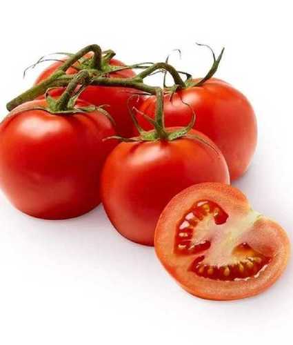 Fresh Red Tomato Vegetables