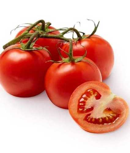 Round Fresh Red Tomato Vegetables