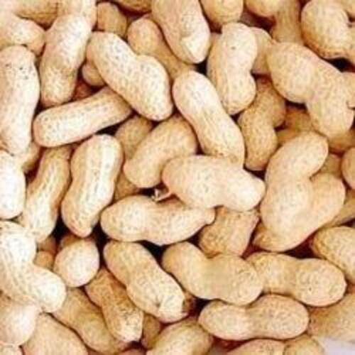 Light And Crispy Healthy Organic Shelled Peanuts With Pack Size 10-15kg