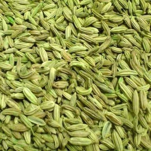 Organic And Field Fresh Harvested Sorted And Sun Dried A Grade Green Fennel Seeds
