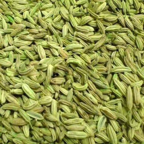 Organic And Field Fresh Harvested Sorted And Sun Dried A Grade Green Fennel Seeds Purity: 99%