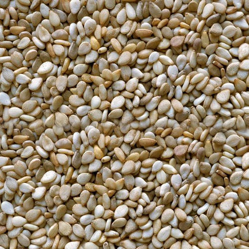 Organic Sun Dried Purity 99.99% Healthy and Natural White Sesame Seeds