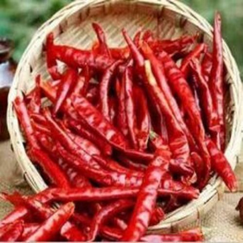 Healthy Moisture 10-15% Spicy Organic Dried Guntur Red Chilli