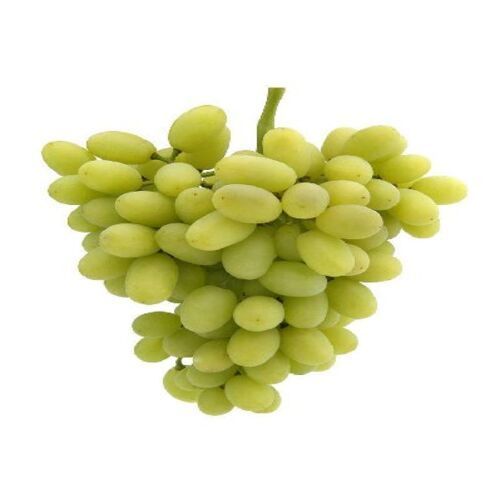 Maturity 100% No Artificial Flavour Pesticide Free Fresh Green Grapes
