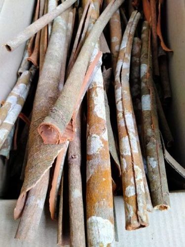 Brown Natural Fresh Cinnamon Stick