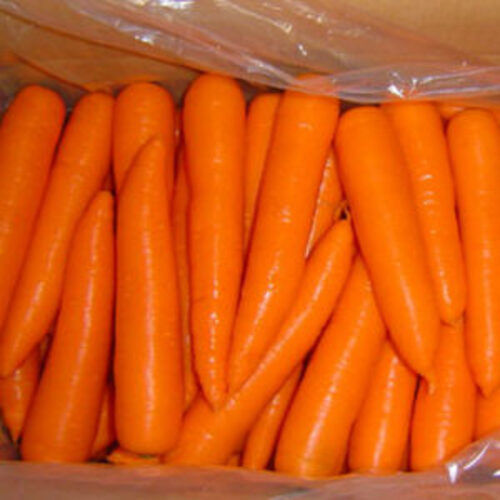 Natural Taste and Healthy Fresh Orange Carrot
