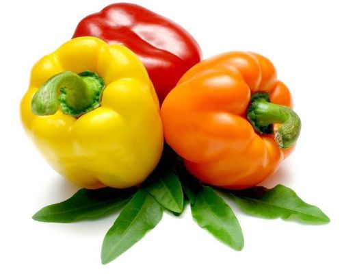 Nutritious Pesticides Free Natural Healthy Organic Fresh Bell Pepper