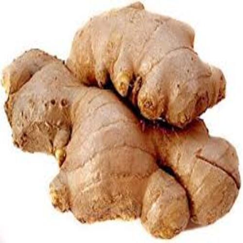 Hygienically Packed No Artificial Flavour No Preservatives Light Brown Organic Fresh Ginger