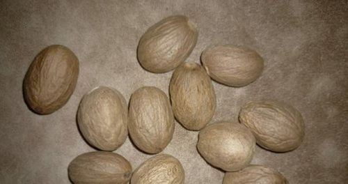 Organic Premium Nutmeg Jaiphal