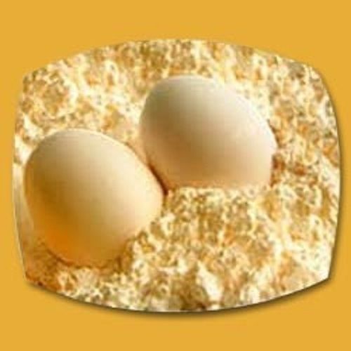 a  High Protein Organic Egg Powder