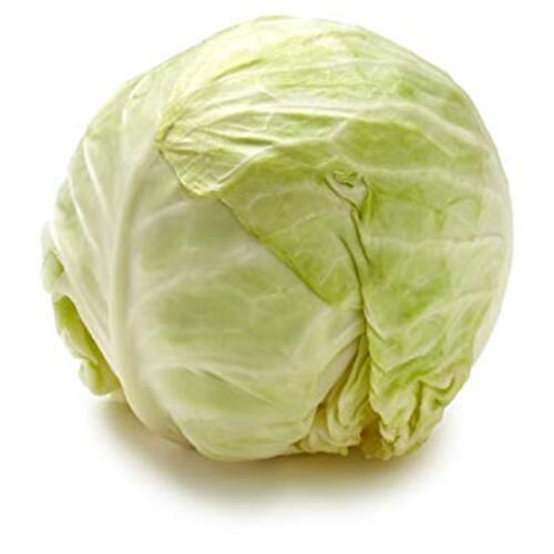 Highly Nutritional and Long Shelf Life Healthy Organic Green Fresh Cabbage