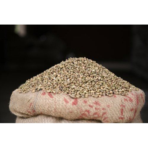 Organic Medium Roast Robusta Green Coffee Bean