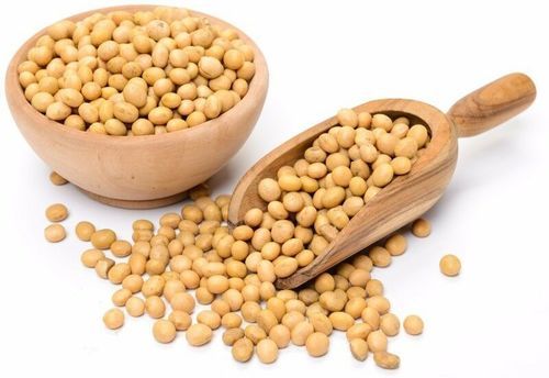 Skin Natural Soybean Seed (For Animal Feed, Cooking, Human Consumption)