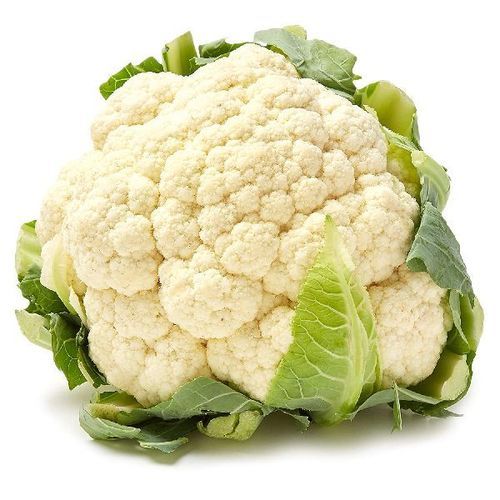 Natural Taste and Healthy Organic Fresh Cauliflower for Cooking