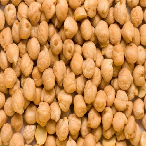 Protein 1.8 g/ 100g Imperfection 1% max Organic Dried White Chickpeas