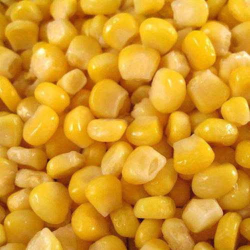 Sweet Corn For Home And Restaurant Shelf Life: 3 Months