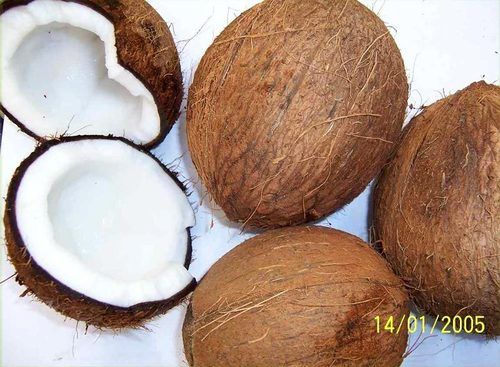 A Grade Fully Organic Natural Husked Coconut