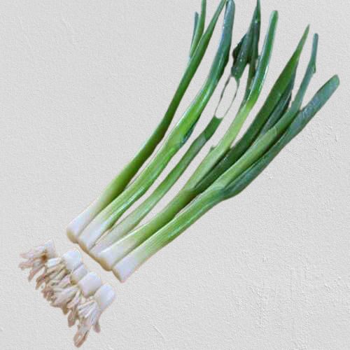 Enhance The Flavour Natural And Healthy Organic Fresh Green Onion