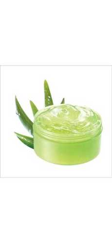 Herbal Aloe Vera Gel Ingredients: Herbs