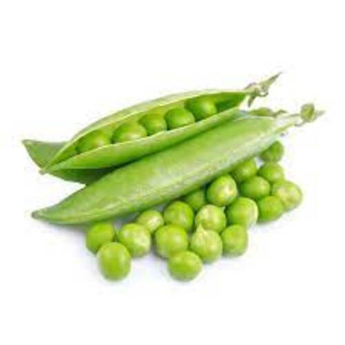 Maturity 100% Energy 86 Kcal Carbohydrate 12.29g Natural Fresh Green Peas