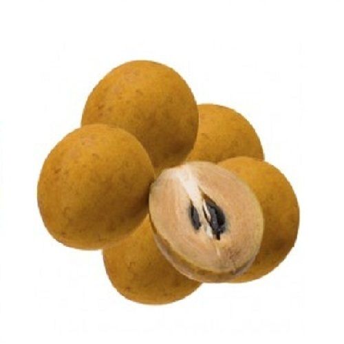 Natural Good Sweet Taste Healthy Organic Brown Fresh Chikoo Origin: India