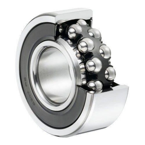 Ball & Roller Bearings