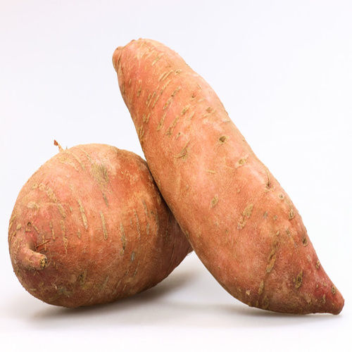 Maturity 100% Energy 148.9 Calories Organic Brown Fresh Sweet Potato